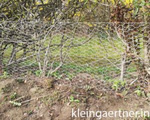 Wunderbar Hecke Hundesicher Machen Ebenbild